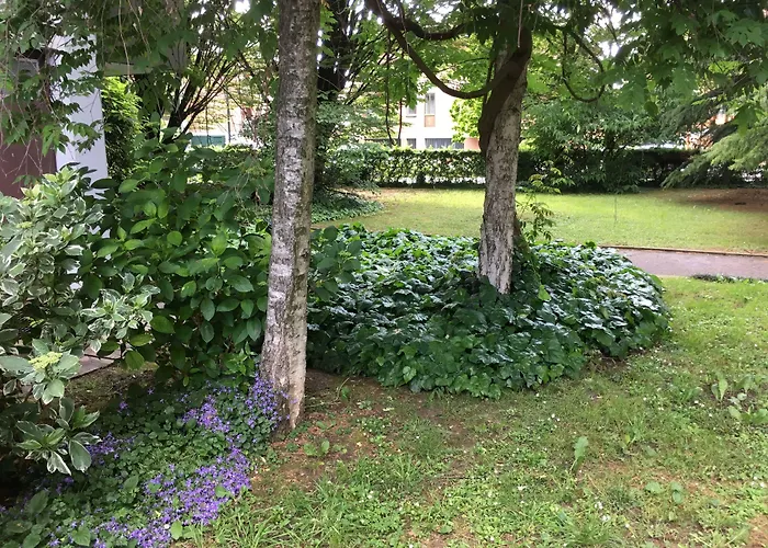 Bed And Breakfast Bio Salix Padova